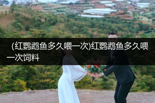 (紅鸚鵡魚多久喂一次)紅鸚鵡魚多久喂一次飼料