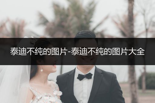 泰迪不純的圖片-泰迪不純的圖片大全