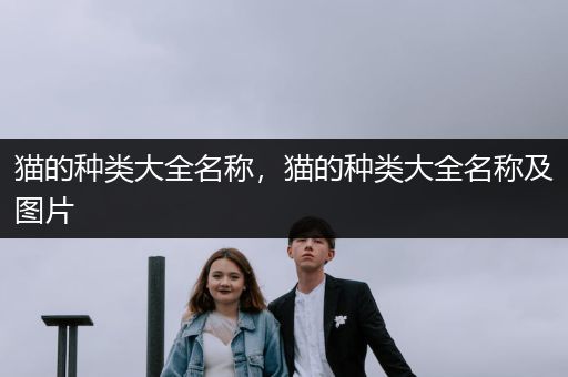 貓的種類大全名稱，貓的種類大全名稱及圖片