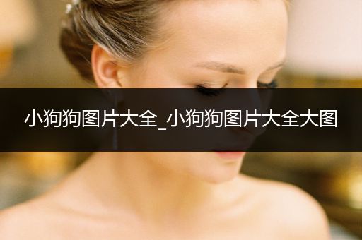 小狗狗圖片大全_小狗狗圖片大全大圖