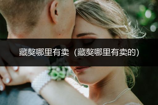 藏獒哪里有賣（藏獒哪里有賣的）