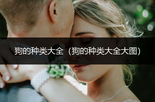 狗的種類大全（狗的種類大全大圖）