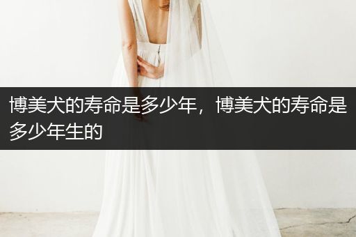 博美犬的壽命是多少年，博美犬的壽命是多少年生的