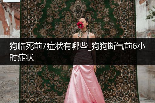 狗臨死前7癥狀有哪些_狗狗斷氣前6小時癥狀