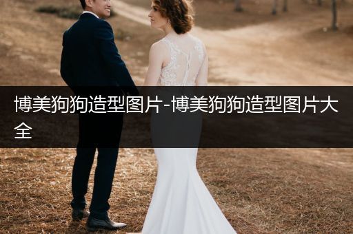 博美狗狗造型圖片-博美狗狗造型圖片大全