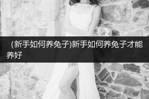 （新手如何養(yǎng)兔子)新手如何養(yǎng)兔子才能養(yǎng)好