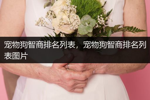 寵物狗智商排名列表，寵物狗智商排名列表圖片