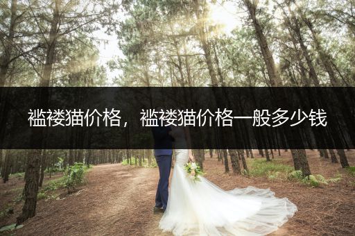 襤褸貓價(jià)格，襤褸貓價(jià)格一般多少錢