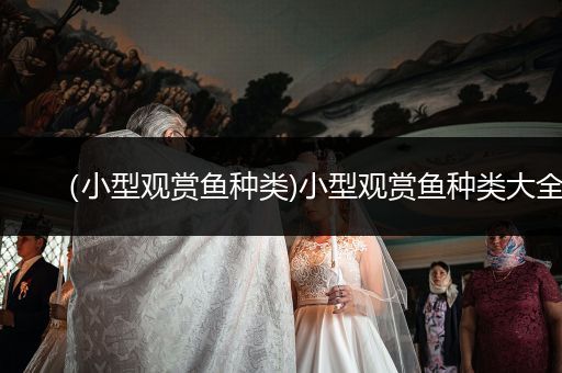 （小型觀賞魚種類)小型觀賞魚種類大全