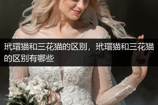 玳瑁貓和三花貓的區(qū)別，玳瑁貓和三花貓的區(qū)別有哪些