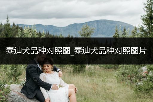 泰迪犬品種對(duì)照?qǐng)D_泰迪犬品種對(duì)照?qǐng)D片