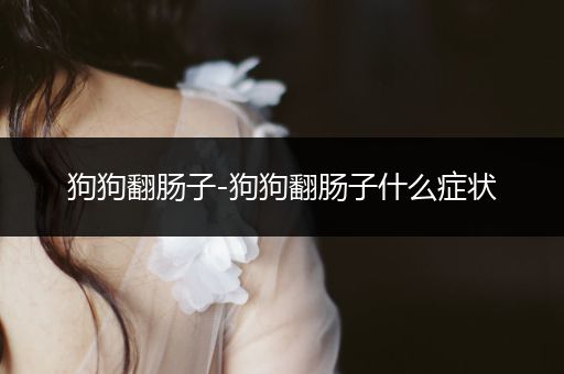 狗狗翻腸子-狗狗翻腸子什么癥狀