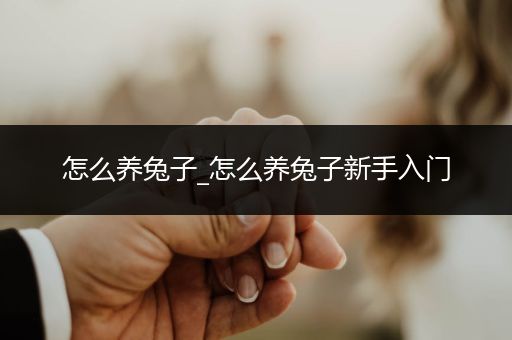 怎么養(yǎng)兔子_怎么養(yǎng)兔子新手入門