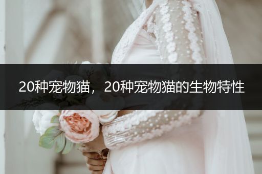 20種寵物貓，20種寵物貓的生物特性