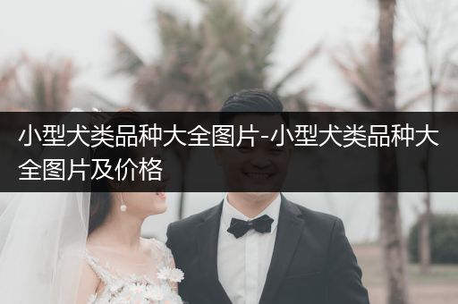 小型犬類品種大全圖片-小型犬類品種大全圖片及價格