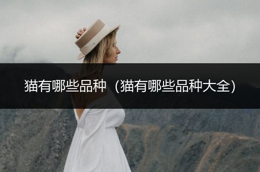 貓有哪些品種（貓有哪些品種大全）