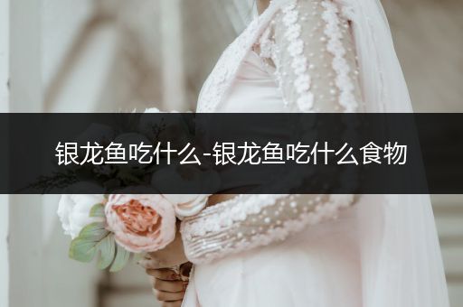 銀龍魚吃什么-銀龍魚吃什么食物