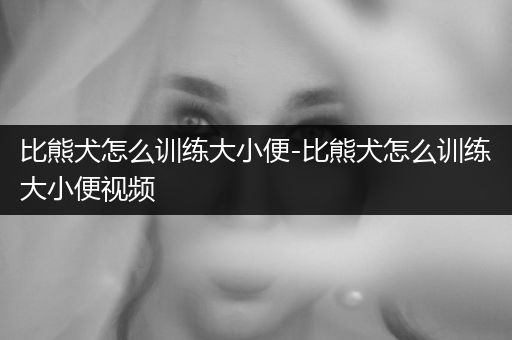 比熊犬怎么訓(xùn)練大小便-比熊犬怎么訓(xùn)練大小便視頻