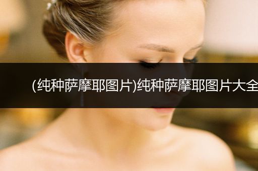 （純種薩摩耶圖片)純種薩摩耶圖片大全