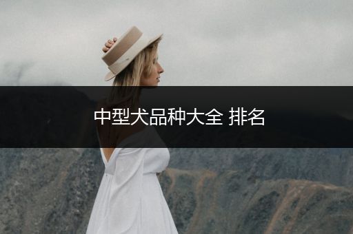 中型犬品種大全 排名