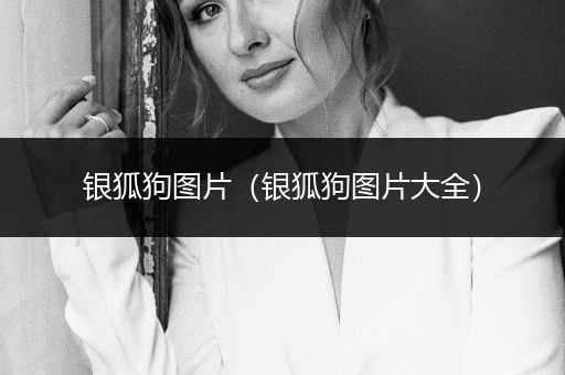 銀狐狗圖片（銀狐狗圖片大全）