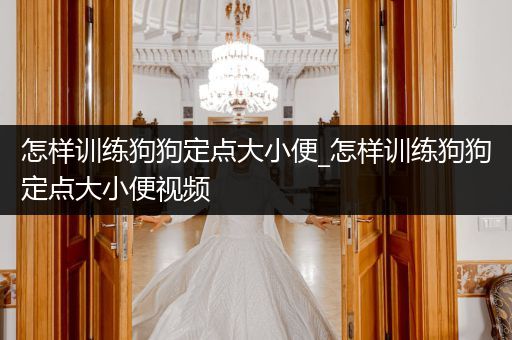 怎樣訓練狗狗定點大小便_怎樣訓練狗狗定點大小便視頻