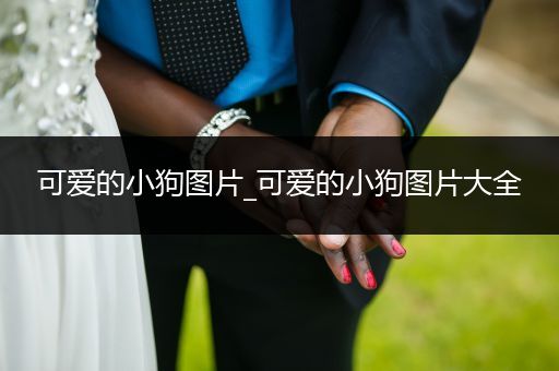 可愛的小狗圖片_可愛的小狗圖片大全