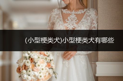 （小型梗類犬)小型梗類犬有哪些