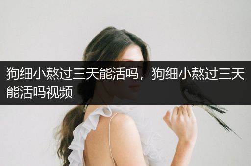 狗細(xì)小熬過(guò)三天能活嗎，狗細(xì)小熬過(guò)三天能活嗎視頻