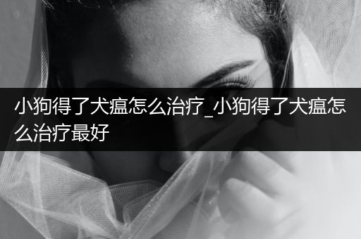 小狗得了犬瘟怎么治療_小狗得了犬瘟怎么治療最好