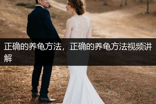 正確的養(yǎng)龜方法，正確的養(yǎng)龜方法視頻講解