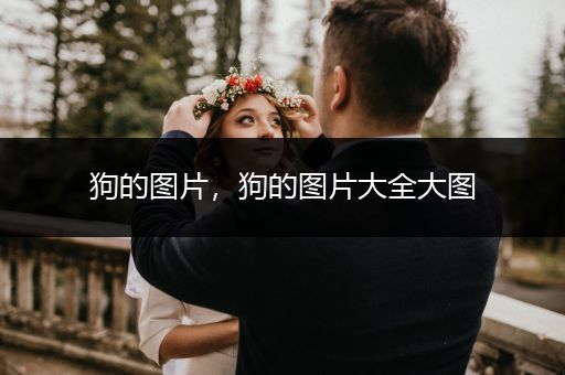 狗的圖片，狗的圖片大全大圖
