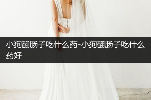 小狗翻腸子吃什么藥-小狗翻腸子吃什么藥好