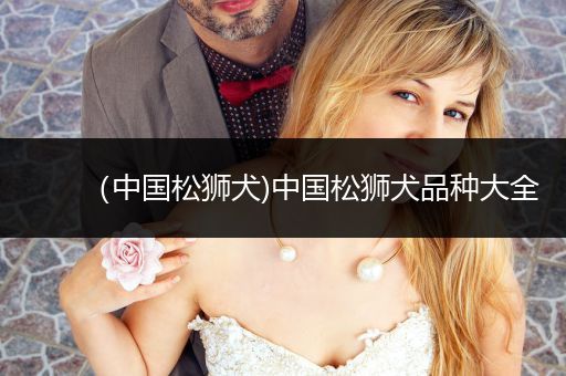 （中國(guó)松獅犬)中國(guó)松獅犬品種大全