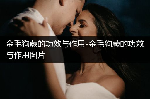 金毛狗蕨的功效與作用-金毛狗蕨的功效與作用圖片