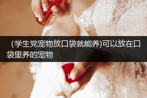 （學生黨寵物放口袋就能養(yǎng))可以放在口袋里養(yǎng)的寵物