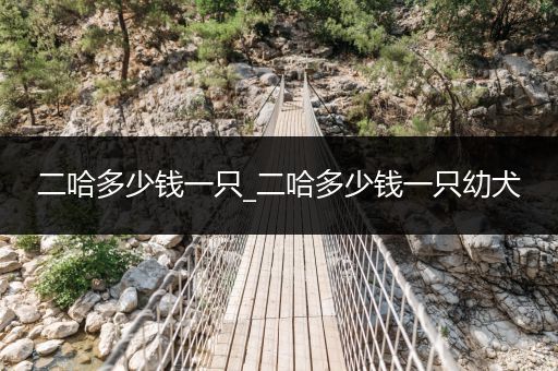 二哈多少錢一只_二哈多少錢一只幼犬