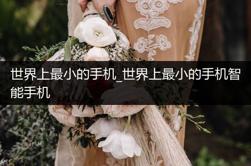 世界上最小的手機_世界上最小的手機智能手機