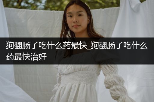 狗翻腸子吃什么藥最快_狗翻腸子吃什么藥最快治好
