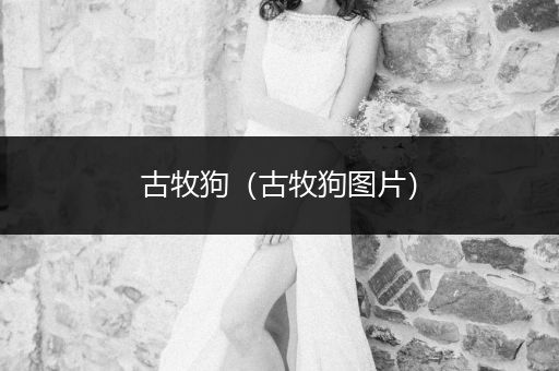 古牧狗（古牧狗圖片）