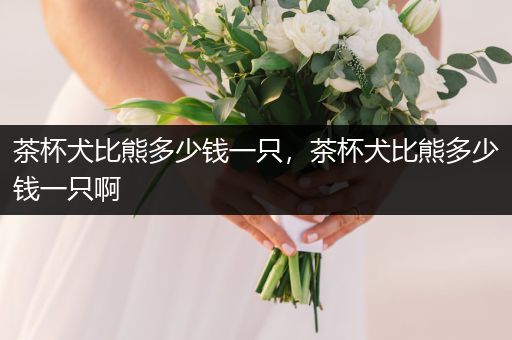 茶杯犬比熊多少錢一只，茶杯犬比熊多少錢一只啊