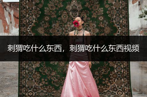 刺猬吃什么東西，刺猬吃什么東西視頻