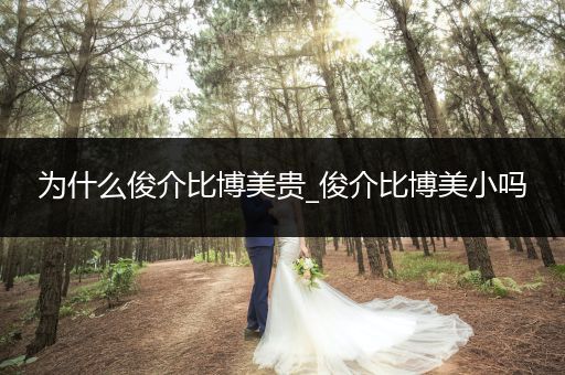 為什么俊介比博美貴_俊介比博美小嗎