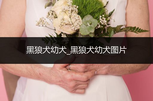 黑狼犬幼犬_黑狼犬幼犬圖片