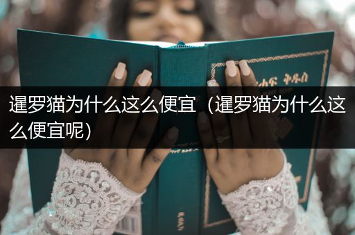 暹羅貓為什么這么便宜（暹羅貓為什么這么便宜呢）