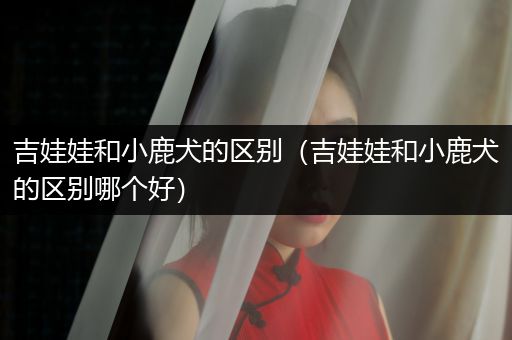 吉娃娃和小鹿犬的區(qū)別（吉娃娃和小鹿犬的區(qū)別哪個(gè)好）