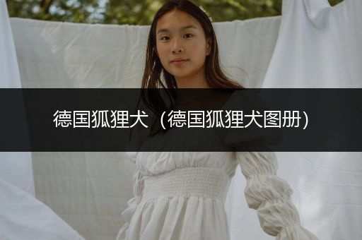 德國(guó)狐貍?cè)ǖ聡?guó)狐貍?cè)畧D冊(cè)）