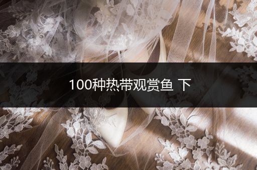 100種熱帶觀賞魚 下