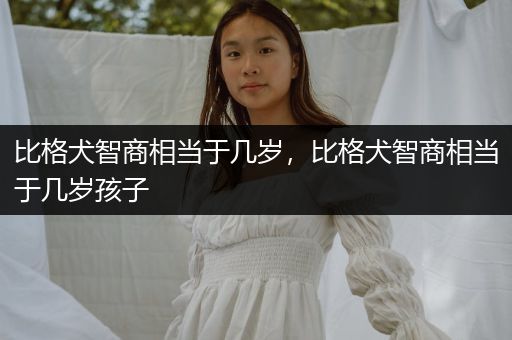 比格犬智商相當(dāng)于幾歲，比格犬智商相當(dāng)于幾歲孩子