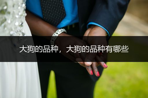 大狗的品種，大狗的品種有哪些